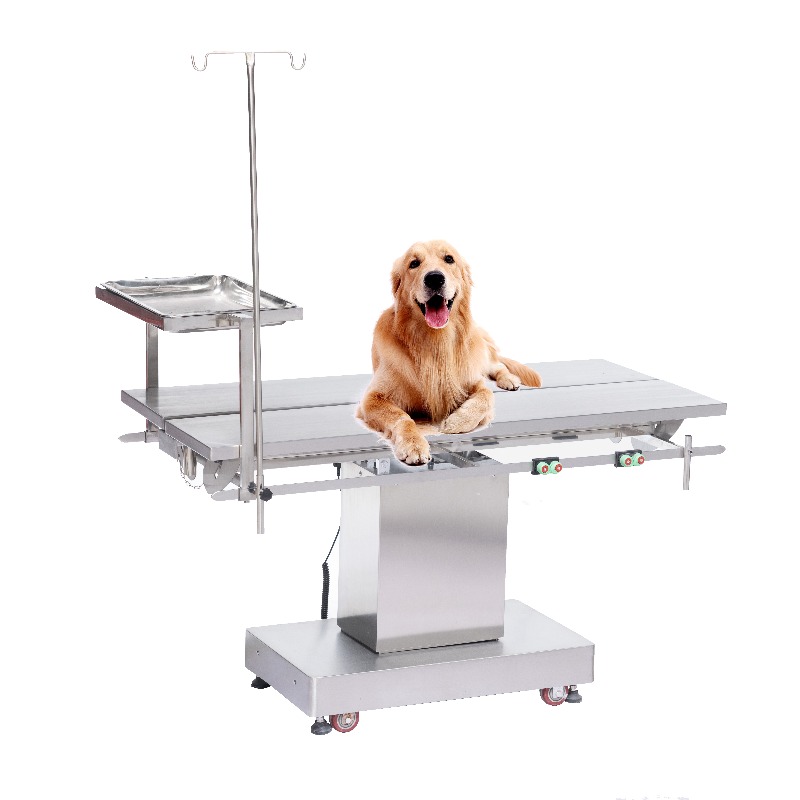 Pet Supplies Vet Clinic - 2026 Vet Examination Table Animal Hospital