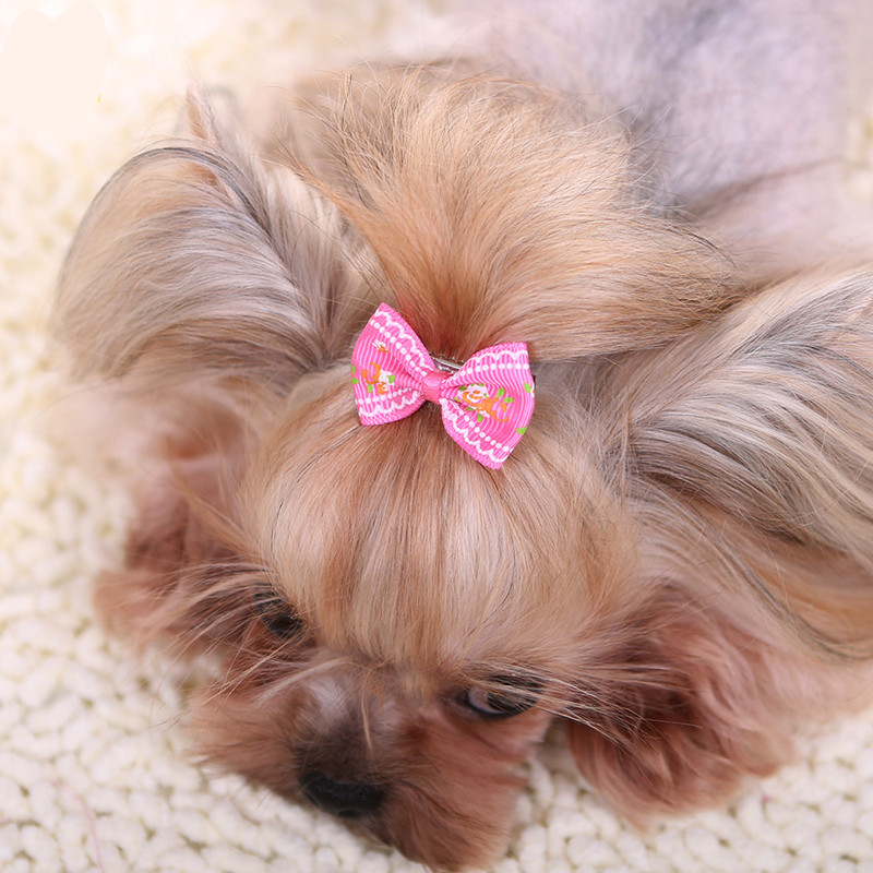 Pet Supplies York - New Hairpin for Dogs Kitten Puppy