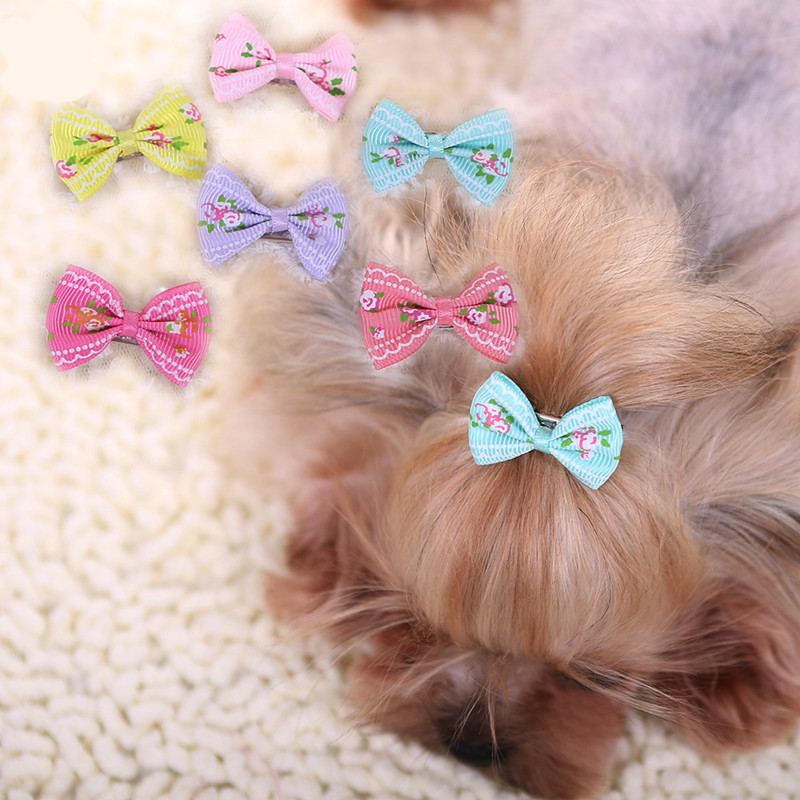 New Hairpin for Dogs Kitten Pu - Pet Supplies York recension och pris