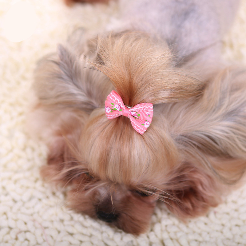 New Hairpin for Dogs Kitten Pu - Pet Supplies York recension och pris