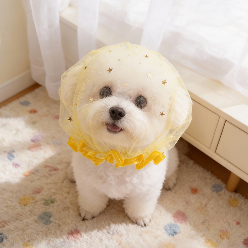 Anti Bark Summer Dog Cap Outdo - Pet Supplies York recension och pris