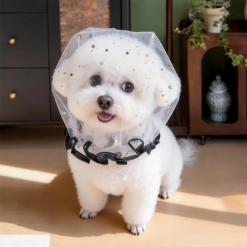 Anti Bark Summer Dog Cap Outdo - Pet Supplies York recension och pris