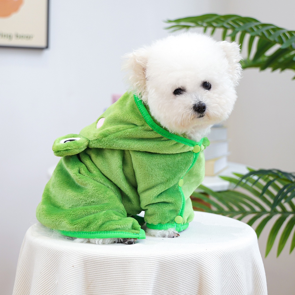 Frog Cap One Piece Dogs Cloak  - Pet Supplies York recension och pris