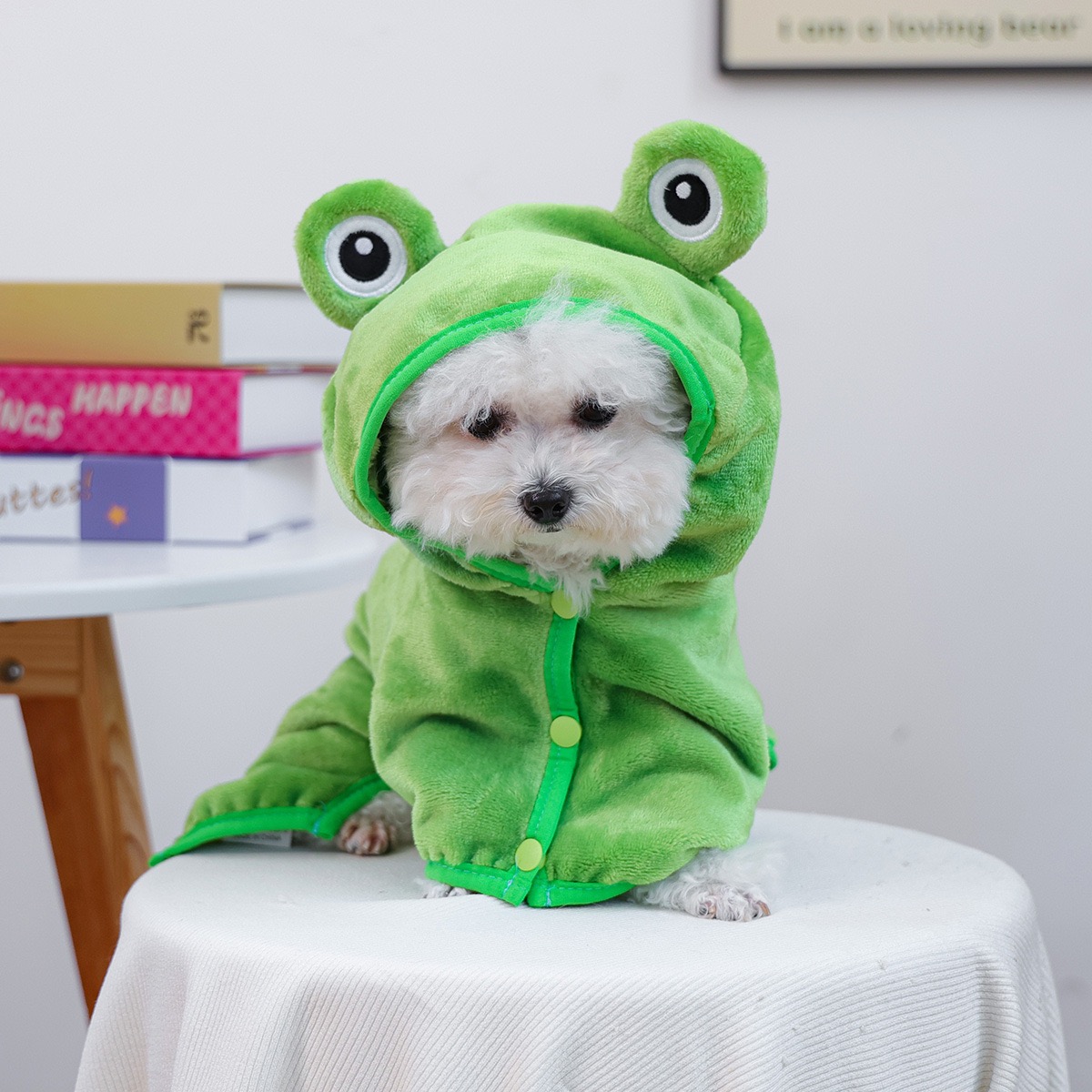 Frog Cap One Piece Dogs Cloak  - Pet Supplies York recension och pris