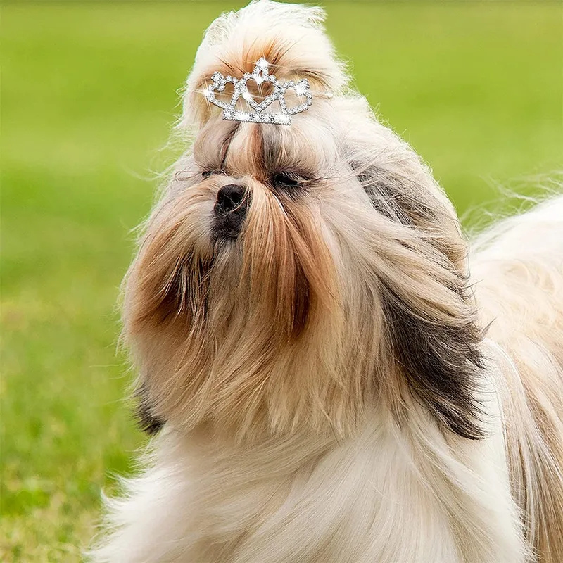 Bling Delicate Crystal Dog Hai - Pet Supplies York recension och pris