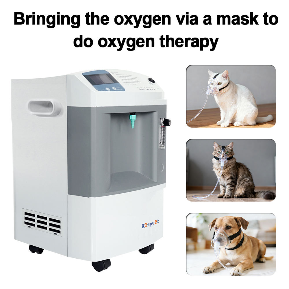 Veterinary Oxygen Supply Devic - Pet Supplies Vet Clinic recension och pris