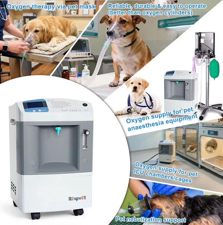 Veterinary Oxygen Supply Devic - Pet Supplies Vet Clinic recension och pris