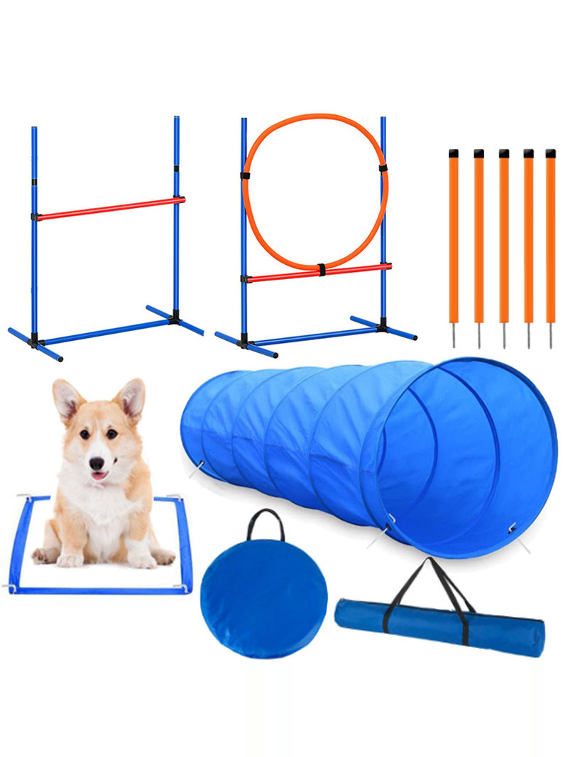 Dog Obstacle Training Competit - Pet Supplies For Dogs recension och pris