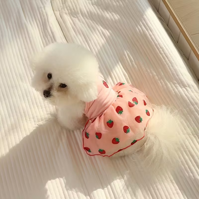 Summer Thin Puppy Princess Ski - Pet Supplies York recension och pris