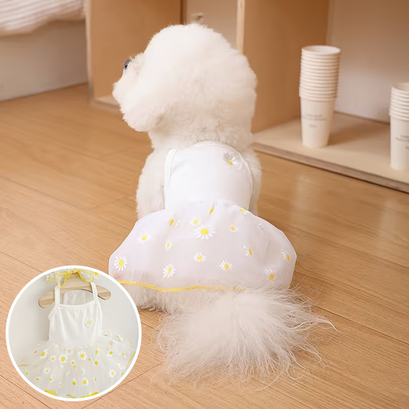 Summer Thin Puppy Princess Ski - Pet Supplies York recension och pris