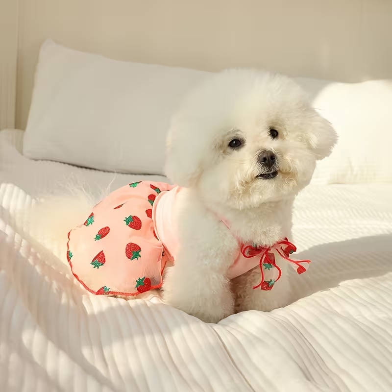 Summer Thin Puppy Princess Ski - Pet Supplies York recension och pris