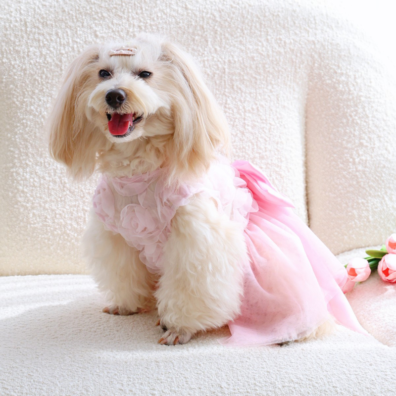 Spring Summer Thin Puppy Princ - Pet Supplies York recension och pris