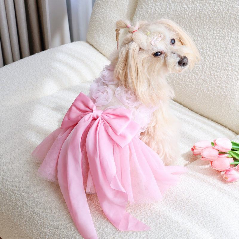 Spring Summer Thin Puppy Princ - Pet Supplies York recension och pris