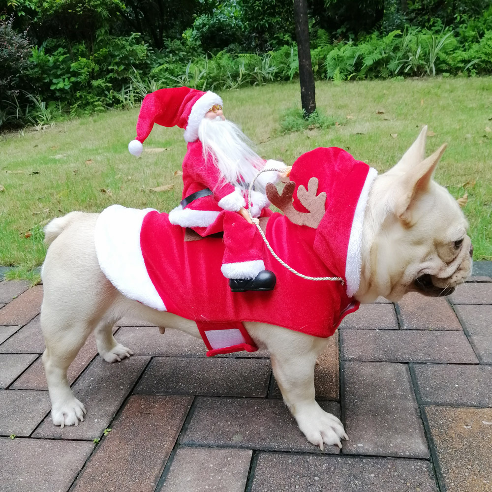 Winter Happy New Year Pet Cost - Pet Supplies York recension och pris